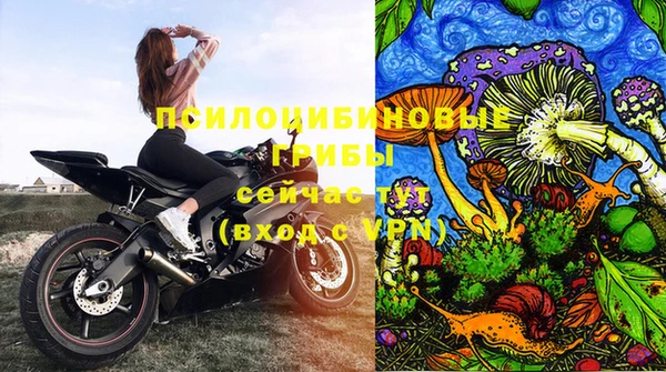 МДПВ Алексеевка