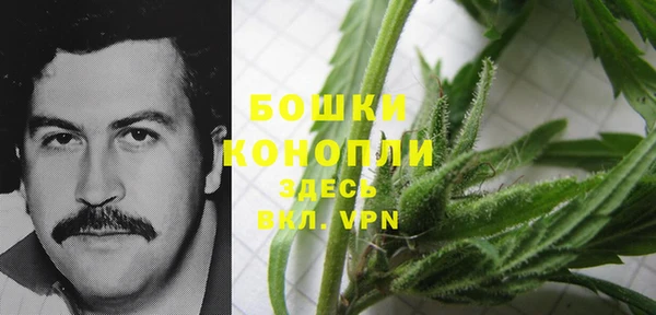 дживик Сатка